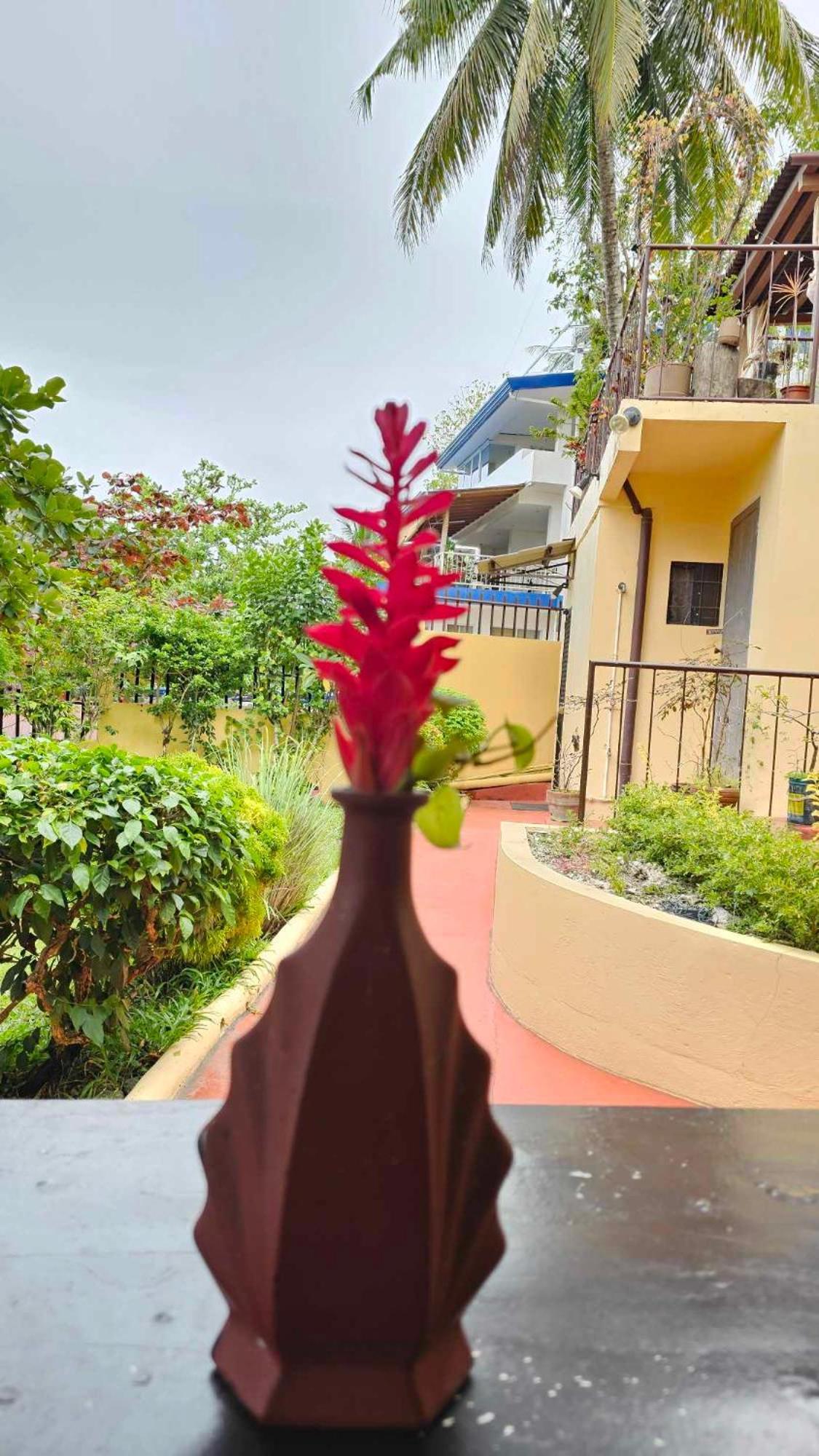 Eagles Nest Beach Resort ダバオ　シティ エクステリア 写真